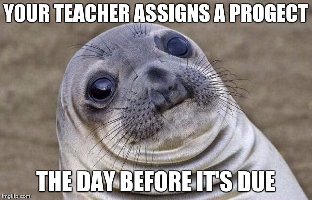 Awkward Moment Sealion Meme | YOUR TEACHER ASSIGNS A PROGECT; THE DAY BEFORE IT'S DUE | image tagged in memes,awkward moment sealion | made w/ Imgflip meme maker