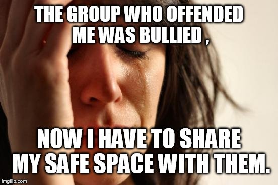 First World Problems Meme | THE GROUP WHO OFFENDED ME WAS BULLIED , NOW I HAVE TO SHARE MY SAFE SPACE WITH THEM. | image tagged in memes,first world problems | made w/ Imgflip meme maker