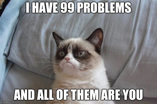 Grumpy Cat Bed | I HAVE 99 PROBLEMS; AND ALL OF THEM ARE YOU | image tagged in memes,grumpy cat bed,grumpy cat | made w/ Imgflip meme maker