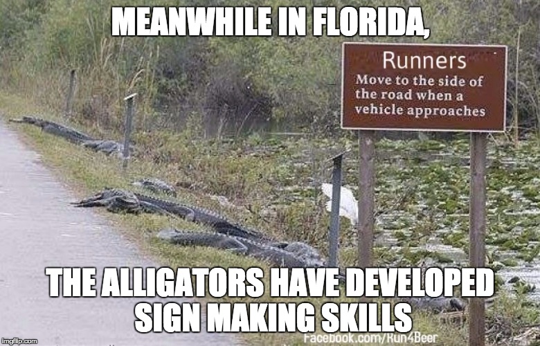 MEANWHILE IN FLORIDA, THE ALLIGATORS HAVE DEVELOPED SIGN MAKING SKILLS | made w/ Imgflip meme maker