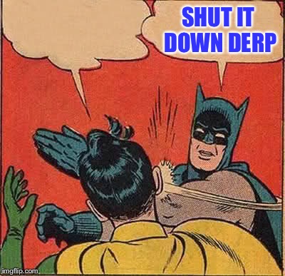 Batman Slapping Robin | SHUT IT DOWN DERP | image tagged in memes,batman slapping robin | made w/ Imgflip meme maker