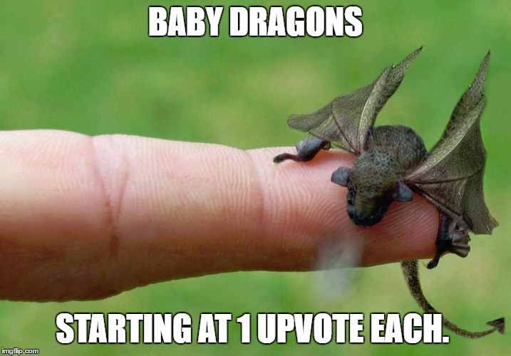 Baby dragons! Get your baby dragons here! | BABY DRAGONS; STARTING AT 1 UPVOTE EACH. | image tagged in dragons,memes | made w/ Imgflip meme maker