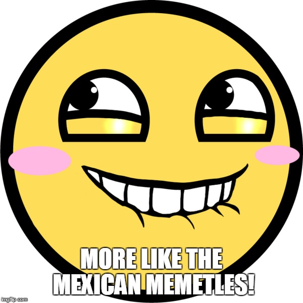 MORE LIKE THE MEXICAN MEMETLES! | made w/ Imgflip meme maker
