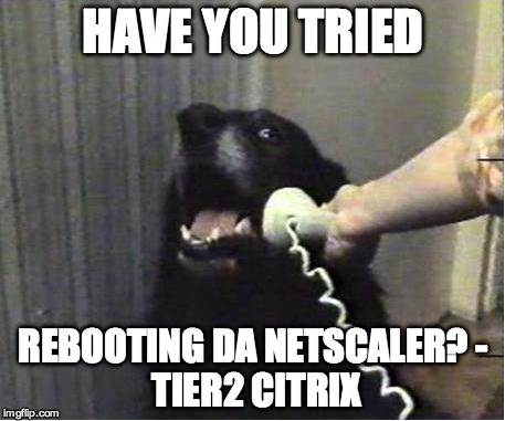 Yes this is dog | HAVE YOU TRIED; REBOOTING DA NETSCALER?
- TIER2 CITRIX | image tagged in yes this is dog | made w/ Imgflip meme maker