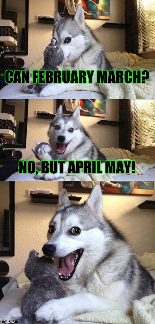 Bad Pun Dog | CAN FEBRUARY MARCH? NO, BUT APRIL MAY! | image tagged in memes,bad pun dog | made w/ Imgflip meme maker