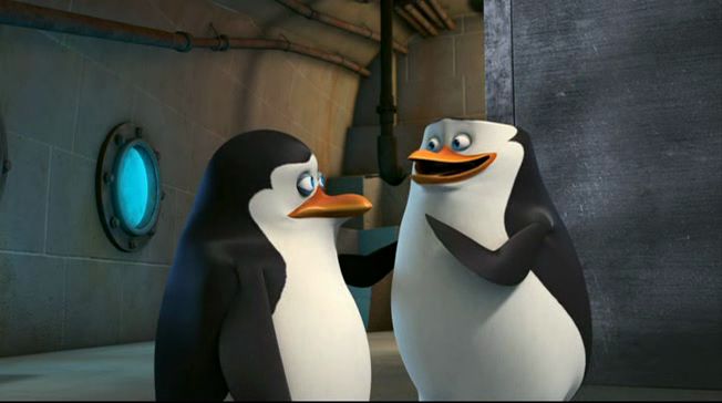 High Quality pinguino Blank Meme Template