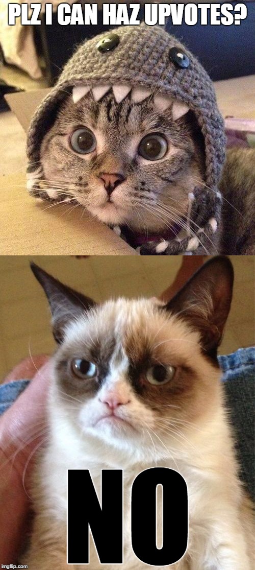Grumpy Cat isn't falling for it | PLZ I CAN HAZ UPVOTES? NO | image tagged in memes,grumpy cat,are you kitten me,imgflip,upvotes,memes about memes | made w/ Imgflip meme maker