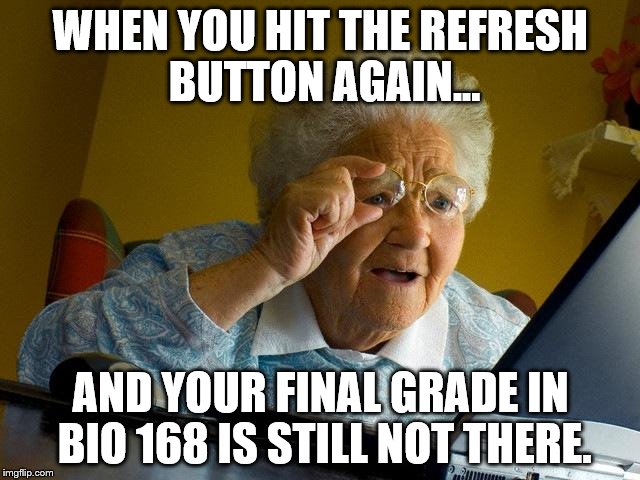 Grandma Finds The Internet Meme | WHEN YOU HIT THE REFRESH BUTTON AGAIN... AND YOUR FINAL GRADE IN BIO 168 IS STILL NOT THERE. | image tagged in memes,grandma finds the internet | made w/ Imgflip meme maker