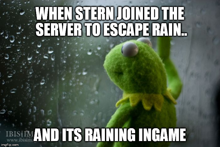 kermit window | WHEN STERN JOINED THE SERVER TO ESCAPE RAIN.. AND ITS RAINING INGAME | image tagged in kermit window | made w/ Imgflip meme maker