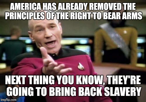 America might as well through the Constitution in the trash. | AMERICA HAS ALREADY REMOVED THE PRINCIPLES OF THE RIGHT TO BEAR ARMS; NEXT THING YOU KNOW, THEY'RE GOING TO BRING BACK SLAVERY | image tagged in memes,picard wtf,right to bear arms | made w/ Imgflip meme maker