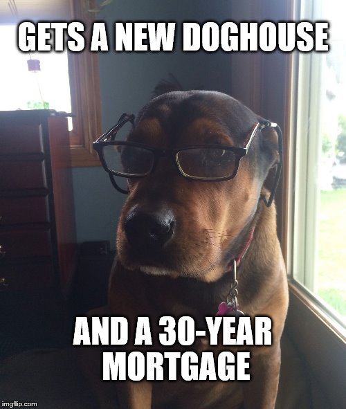 Midlife Crisis Dog | GETS A NEW DOGHOUSE; AND A 30-YEAR MORTGAGE | image tagged in midlife crisis dog,dogs,funny dogs,dad,midlife crisis | made w/ Imgflip meme maker