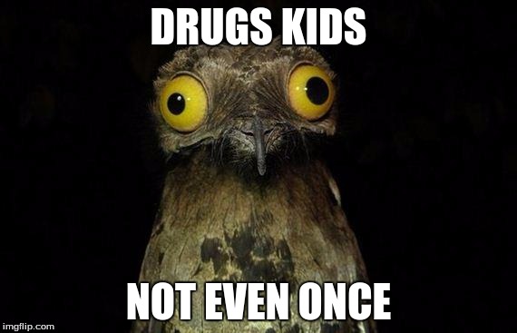 Weird Stuff I Do Potoo Meme | DRUGS KIDS; NOT EVEN ONCE | image tagged in memes,weird stuff i do potoo | made w/ Imgflip meme maker