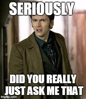 doctor who is confused | SERIOUSLY; DID YOU REALLY JUST ASK ME THAT | image tagged in doctor who is confused | made w/ Imgflip meme maker