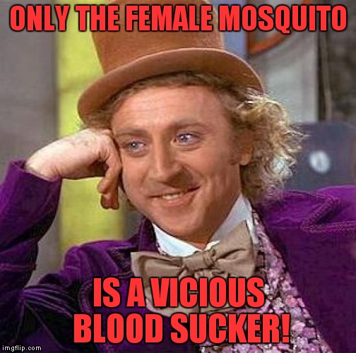 Coincidence? | ONLY THE FEMALE MOSQUITO IS A VICIOUS BLOOD SUCKER! | image tagged in memes,creepy condescending wonka,funny,kittens,trump,clinton | made w/ Imgflip meme maker