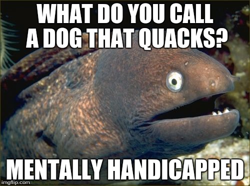 Bad Joke Eel Meme | WHAT DO YOU CALL A DOG THAT QUACKS? MENTALLY HANDICAPPED | image tagged in memes,bad joke eel | made w/ Imgflip meme maker