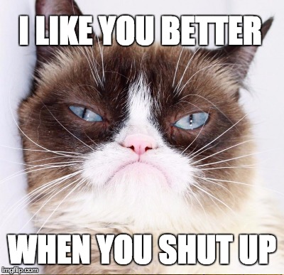 I LIKE YOU BETTER; WHEN YOU SHUT UP | image tagged in grumpy cat | made w/ Imgflip meme maker