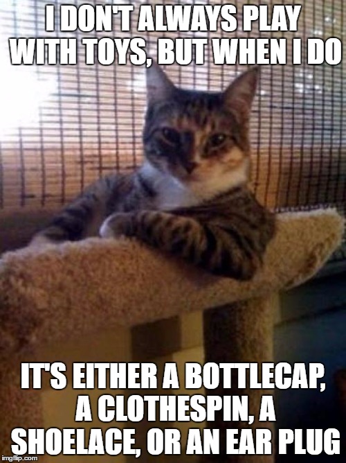 The Most Interesting Cat In The World Meme | I DON'T ALWAYS PLAY WITH TOYS, BUT WHEN I DO; IT'S EITHER A BOTTLECAP, A CLOTHESPIN, A SHOELACE, OR AN EAR PLUG | image tagged in memes,the most interesting cat in the world | made w/ Imgflip meme maker