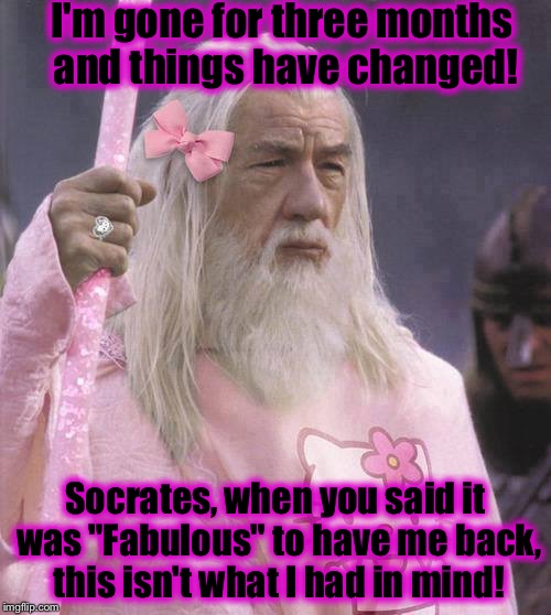 Socrates Fabulously Holding Down the Fort....... | I'm gone for three months and things have changed! Socrates, when you said it was "Fabulous" to have me back, this isn't what I had in mind! | image tagged in gandalf itp,memes,funny memes | made w/ Imgflip meme maker
