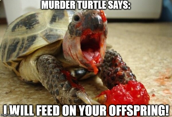 Murder Turtle | MURDER TURTLE SAYS:; I WILL FEED ON YOUR OFFSPRING! | image tagged in murder turtle | made w/ Imgflip meme maker