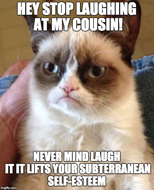 Grumpy Cat Meme | HEY STOP LAUGHING AT MY COUSIN! NEVER MIND LAUGH IT IT LIFTS YOUR SUBTERRANEAN SELF-ESTEEM | image tagged in memes,grumpy cat | made w/ Imgflip meme maker