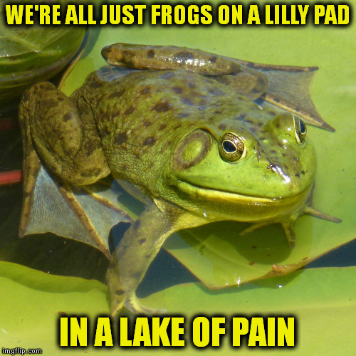 A lawyers commercial here in Alabama | WE'RE ALL JUST FROGS ON A LILLY PAD; IN A LAKE OF PAIN | image tagged in memes | made w/ Imgflip meme maker