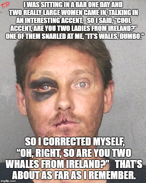 joke2 | I WAS SITTING IN A BAR ONE DAY AND TWO REALLY LARGE WOMEN CAME IN, TALKING IN AN INTERESTING ACCENT. 

SO I SAID, “COOL ACCENT, ARE YOU TWO LADIES FROM IRELAND?” 

ONE OF THEM SNARLED AT ME, “IT’S WALES, DUMBO."; SO I CORRECTED MYSELF, “OH, RIGHT, SO ARE YOU TWO WHALES FROM IRELAND?” 

THAT’S ABOUT AS FAR AS I REMEMBER. | image tagged in original meme,joke,funny,meme,funny meme,irish | made w/ Imgflip meme maker