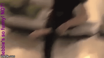 smelly feet | image tagged in gifs,niga higa,boys,yuck,disgusting | made w/ Imgflip video-to-gif maker