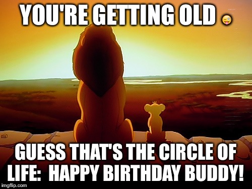 Lion King Meme | YOU'RE GETTING OLD 😜; GUESS THAT'S THE CIRCLE OF LIFE: 
HAPPY BIRTHDAY BUDDY! | image tagged in memes,lion king | made w/ Imgflip meme maker