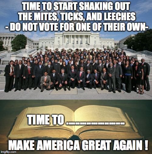 uscongress-bible | TIME TO START SHAKING OUT THE MITES, TICKS, AND LEECHES - DO NOT VOTE FOR ONE OF THEIR OWN-; TIME TO ..........................           MAKE AMERICA GREAT AGAIN ! | image tagged in uscongress-bible | made w/ Imgflip meme maker