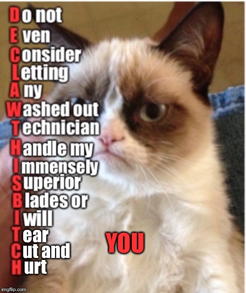 Grumpy cat overhears a call to the vet and uses acronyms also | YOU; ear; ut and; urt | image tagged in grumpy cat,memes,threats,funny | made w/ Imgflip meme maker