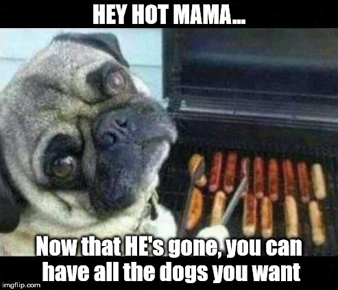 HEY HOT MAMA... Now that HE's gone,
you can have all the dogs you want | image tagged in momma | made w/ Imgflip meme maker