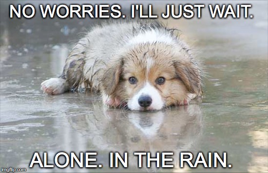 Sigh. Don't mind me.  | NO WORRIES. I'LL JUST WAIT. ALONE. IN THE RAIN. | image tagged in janey mack meme,flirt,love,wet puppy,sad,i'll just wait alone in the rain | made w/ Imgflip meme maker