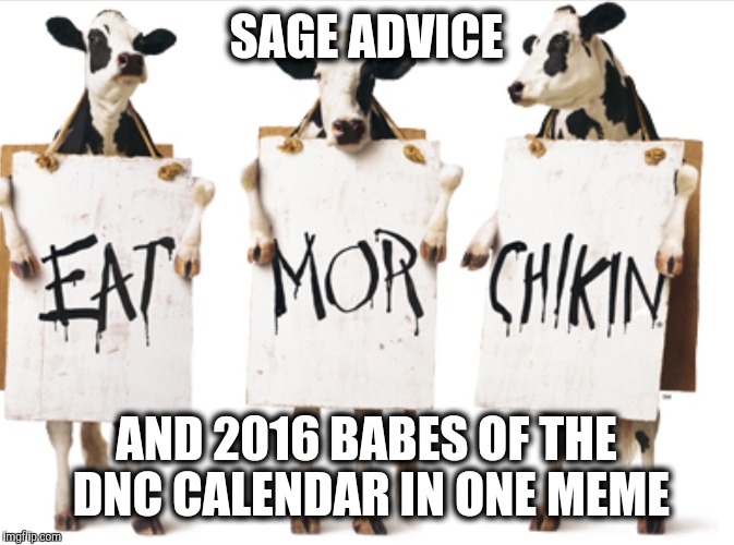 SAGE ADVICE AND 2016 BABES OF THE DNC CALENDAR IN ONE MEME | made w/ Imgflip meme maker