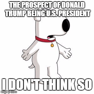 Family Guy Brian | THE PROSPECT OF DONALD TRUMP BEING U.S. PRESIDENT; I DON'T THINK SO | image tagged in memes,family guy brian | made w/ Imgflip meme maker
