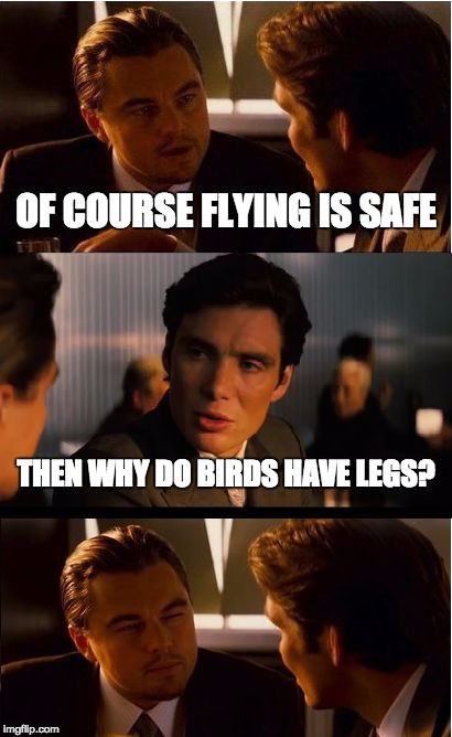 Inception Meme | OF COURSE FLYING IS SAFE; THEN WHY DO BIRDS HAVE LEGS? | image tagged in memes,inception | made w/ Imgflip meme maker