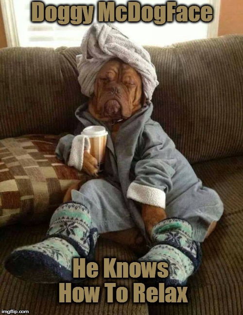 Dog Tired | Doggy McDogFace; He Knows How To Relax | image tagged in dog tired | made w/ Imgflip meme maker
