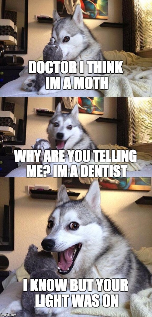 Bad Pun Dog Meme | DOCTOR I THINK IM A MOTH; WHY ARE YOU TELLING ME? IM A DENTIST; I KNOW BUT YOUR LIGHT WAS ON | image tagged in memes,bad pun dog | made w/ Imgflip meme maker