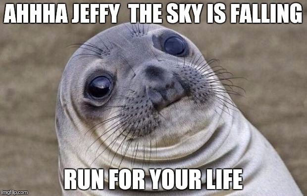 Awkward Moment Sealion Meme | AHHHA JEFFY  THE SKY IS FALLING; RUN FOR YOUR LIFE | image tagged in memes,awkward moment sealion | made w/ Imgflip meme maker