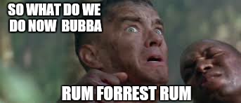 SO WHAT DO WE DO NOW  BUBBA RUM FORREST RUM | made w/ Imgflip meme maker
