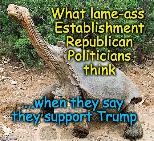 What lame-ass Establishment Republican Politicians think; ....when they say they support Trump | image tagged in sticking your neck out | made w/ Imgflip meme maker