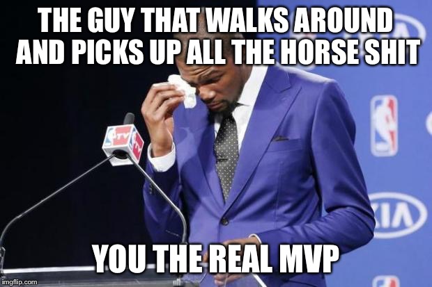 you the real mvp | THE GUY THAT WALKS AROUND AND PICKS UP ALL THE HORSE SHIT; YOU THE REAL MVP | image tagged in you the real mvp,AdviceAnimals | made w/ Imgflip meme maker