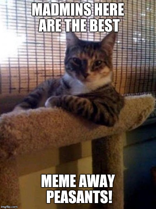 The Most Interesting Cat In The World Meme | MADMINS HERE ARE THE BEST; MEME AWAY PEASANTS! | image tagged in memes,the most interesting cat in the world | made w/ Imgflip meme maker