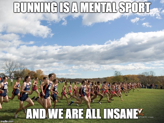 RUNNING IS A MENTAL SPORT; AND WE ARE ALL INSANE | image tagged in cross country | made w/ Imgflip meme maker