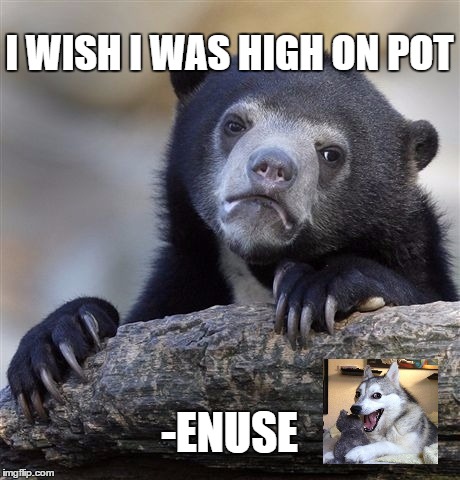 Hypotenuse (Shout out to Key & Peele) | I WISH I WAS HIGH ON POT -ENUSE | image tagged in memes,confession bear,funny,bad pun dog,trending | made w/ Imgflip meme maker