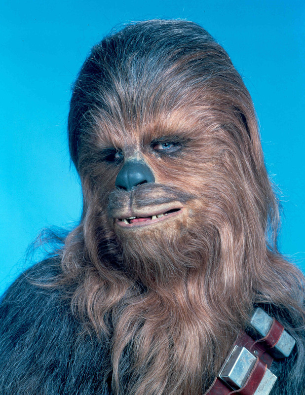 High Quality chewbacca face Blank Meme Template