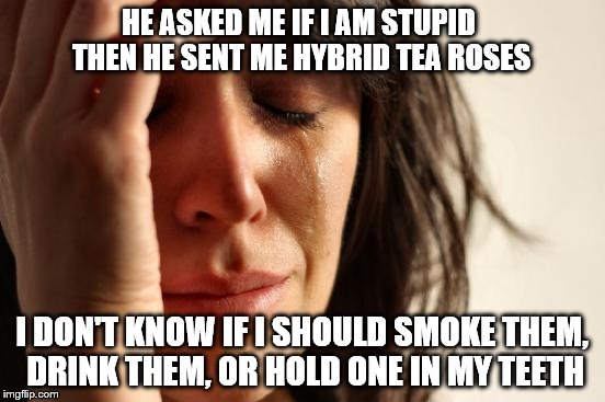 I know it sounds romantic but I think he thinks I am the gardener | HE ASKED ME IF I AM STUPID THEN HE SENT ME HYBRID TEA ROSES; I DON'T KNOW IF I SHOULD SMOKE THEM, DRINK THEM, OR HOLD ONE IN MY TEETH | image tagged in memes,first world problems,gardening | made w/ Imgflip meme maker