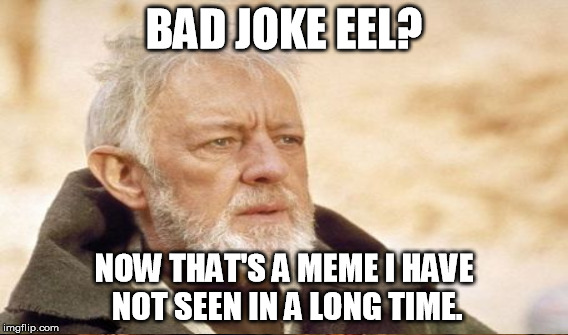 Long Time Obi-Wan | BAD JOKE EEL? NOW THAT'S A MEME I HAVE NOT SEEN IN A LONG TIME. | image tagged in star wars,memes | made w/ Imgflip meme maker