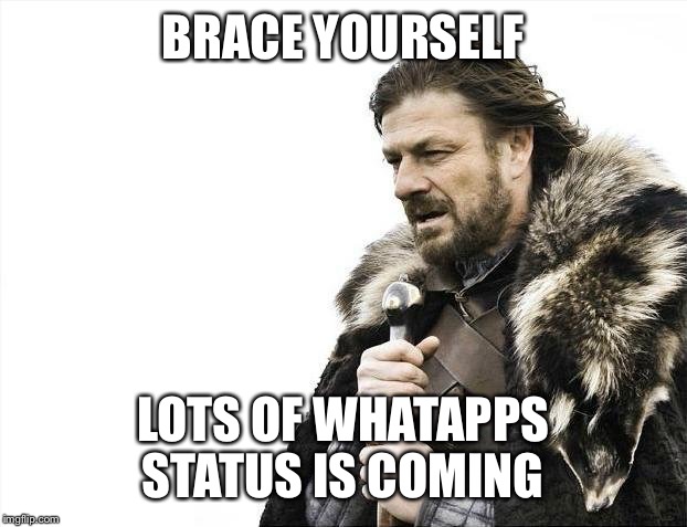 Brace Yourselves X is Coming | BRACE YOURSELF; LOTS OF WHATAPPS STATUS IS COMING | image tagged in memes,brace yourselves x is coming | made w/ Imgflip meme maker