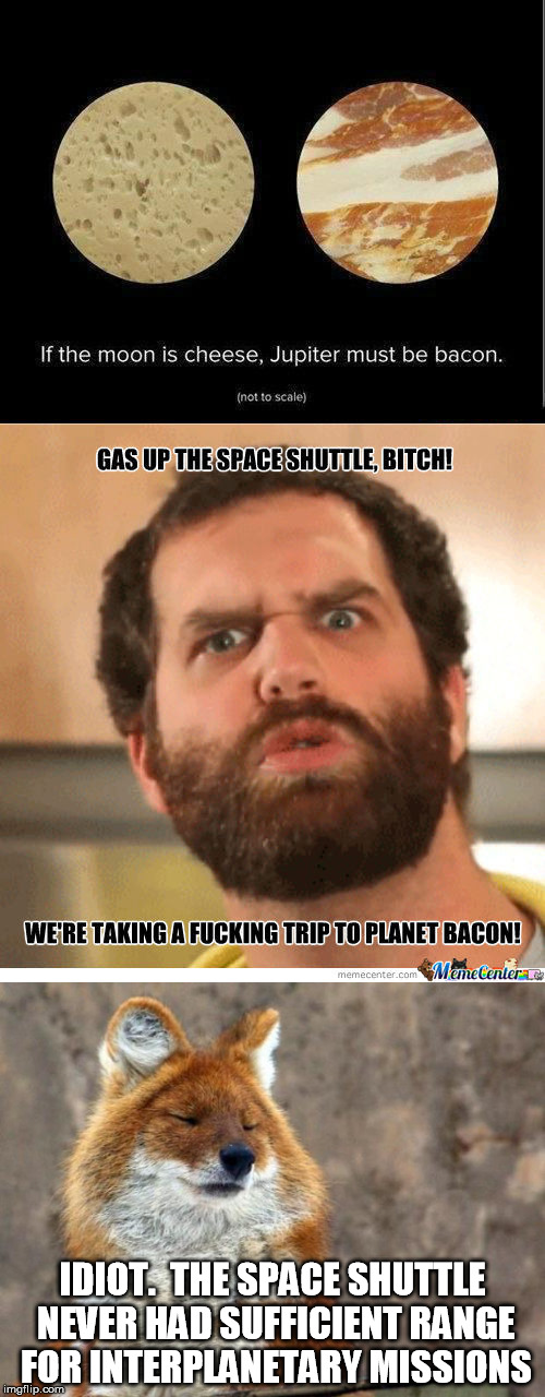 The Space Shuttle?  Srsly? | IDIOT.  THE SPACE SHUTTLE NEVER HAD SUFFICIENT RANGE FOR INTERPLANETARY MISSIONS | image tagged in nasa,jupiter,space shuttle,memes | made w/ Imgflip meme maker