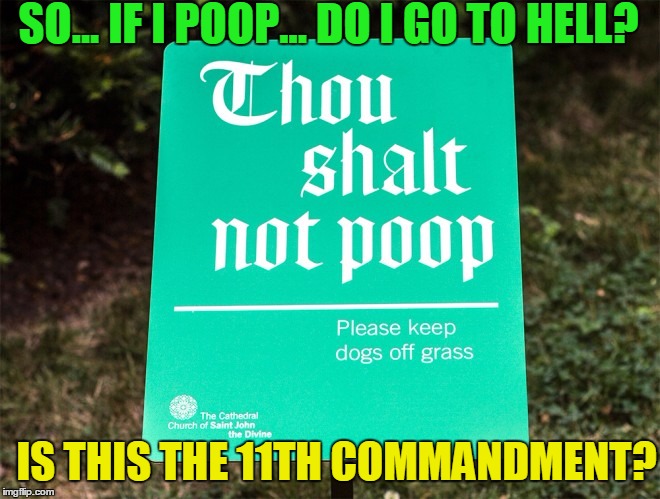 You've gotta be SHITTIN' me... | SO... IF I POOP... DO I GO TO HELL? IS THIS THE 11TH COMMANDMENT? | image tagged in memes,poop,shit,church,dogs,god | made w/ Imgflip meme maker